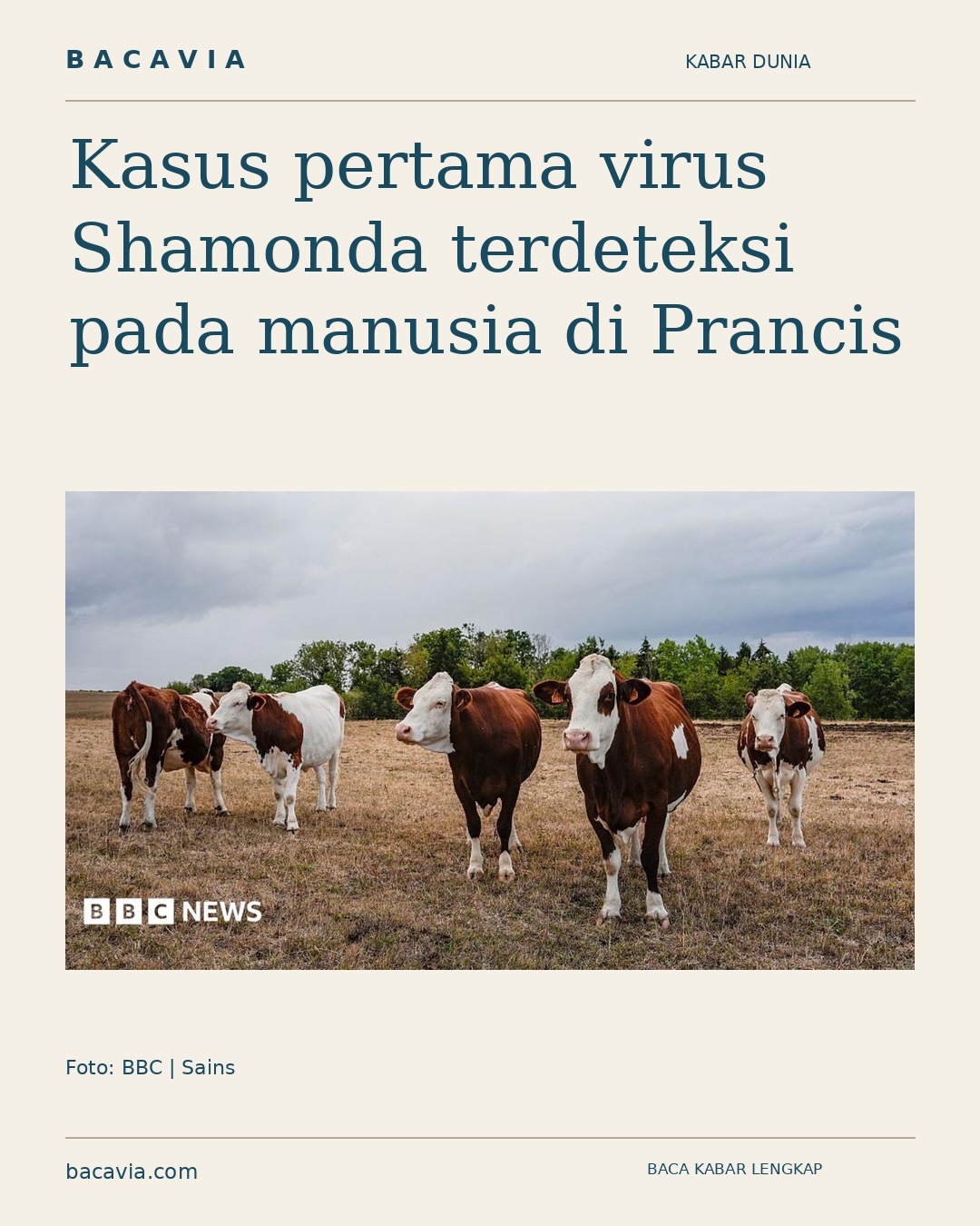 Kabar bergambar: Kasus pertama virus Shamonda terdeteksi pada manusia di Prancis
